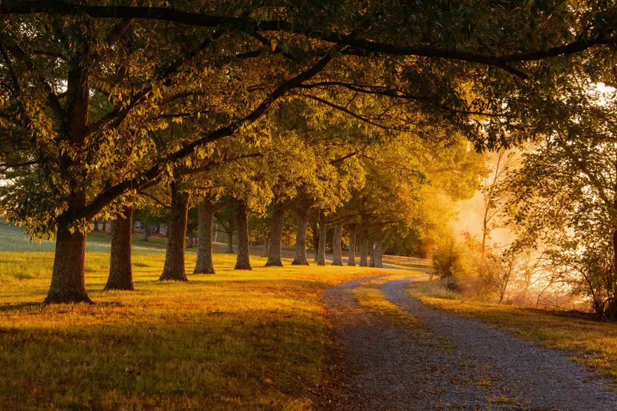 130 Krystal Drive, Chickamauga, GA 30707 - Image #2