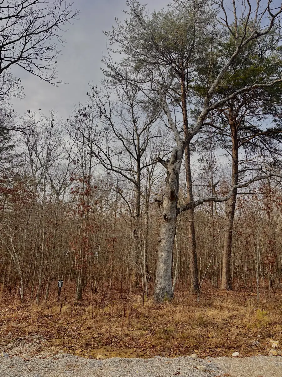 0 Summerfield Road, Monteagle, TN 37356 - Image #2