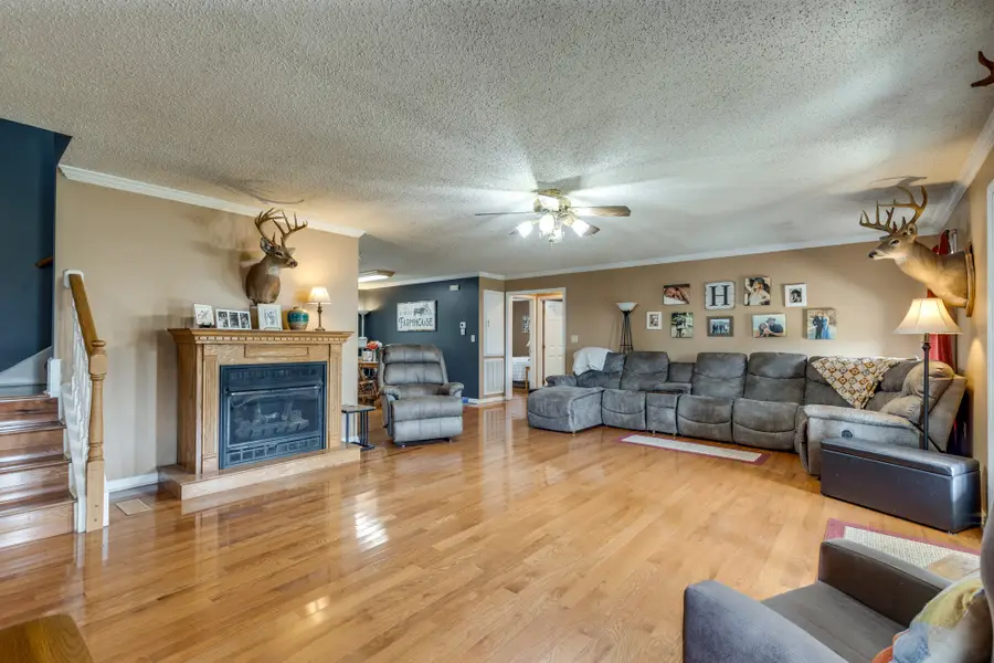 353 Major Rd, Cornersville, TN 37047 - Image #2