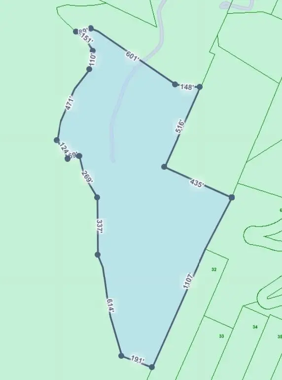 115 Calvender Road, Turtletown, TN 37391 - Image #2