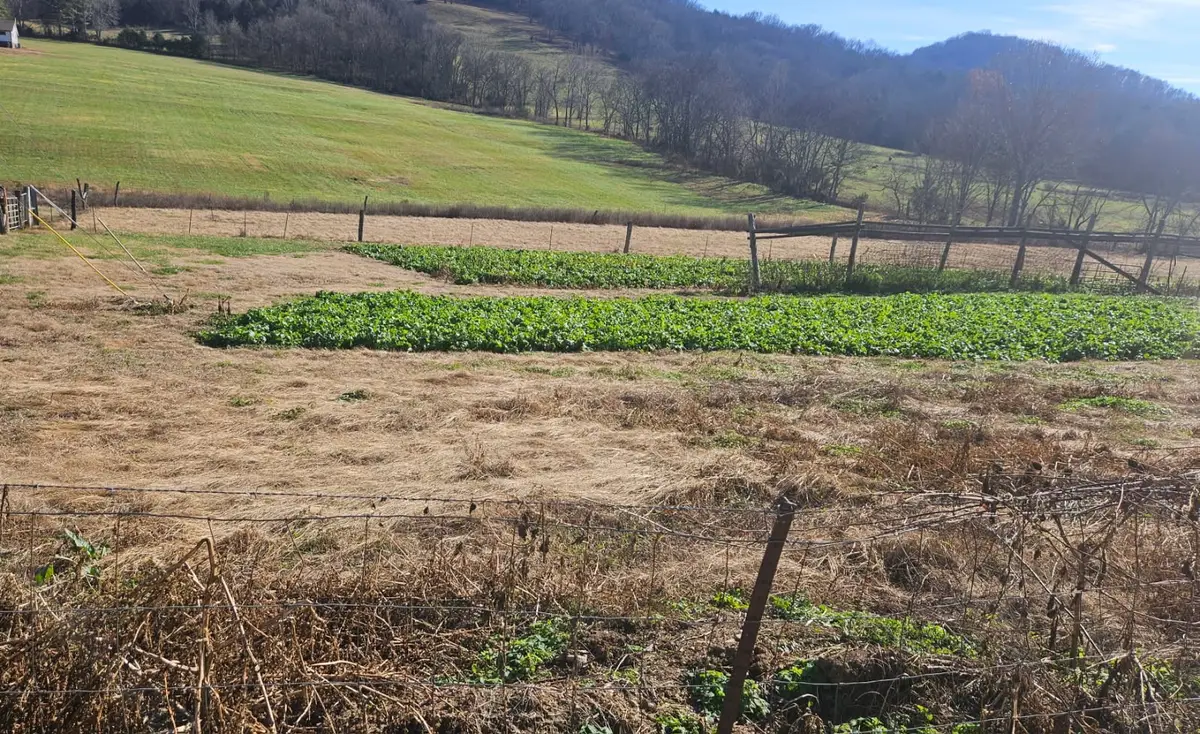 1 Wilburn Hollow Rd, Riddleton, TN 37151 - Image #1