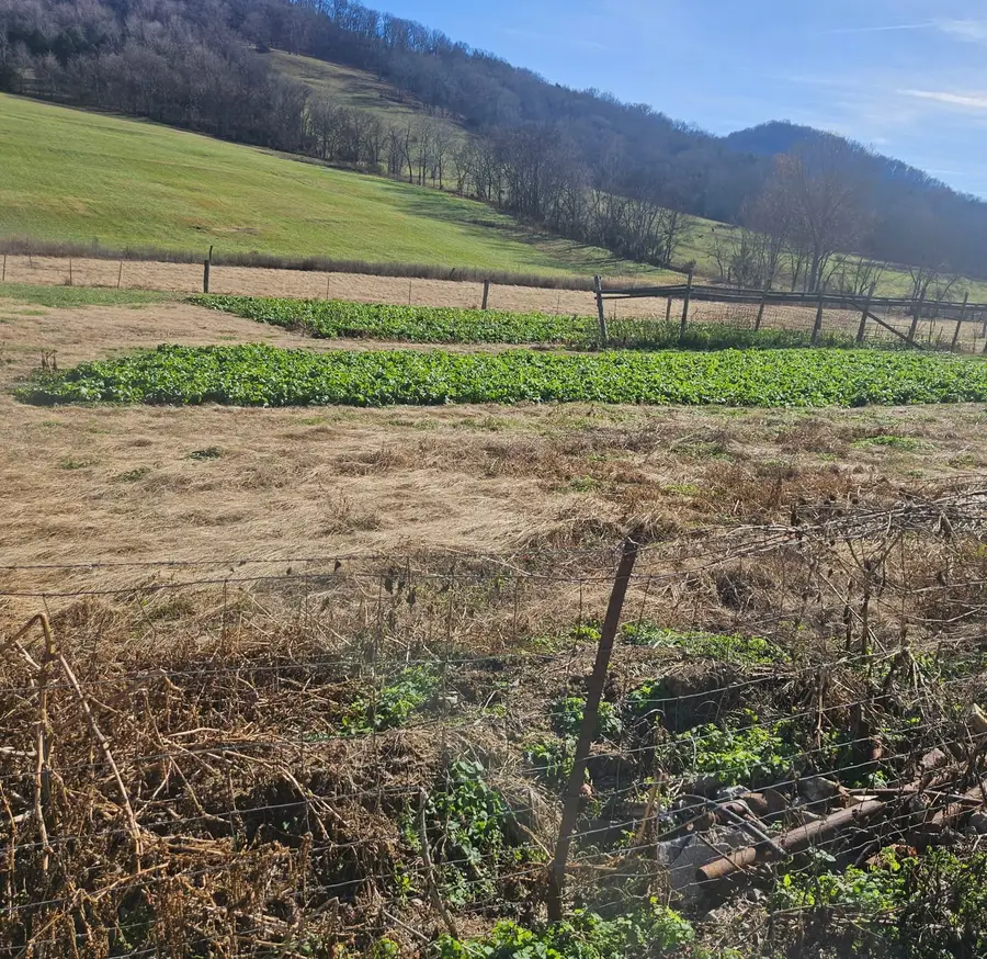 1 Wilburn Hollow Rd, Riddleton, TN 37151 - Image #3