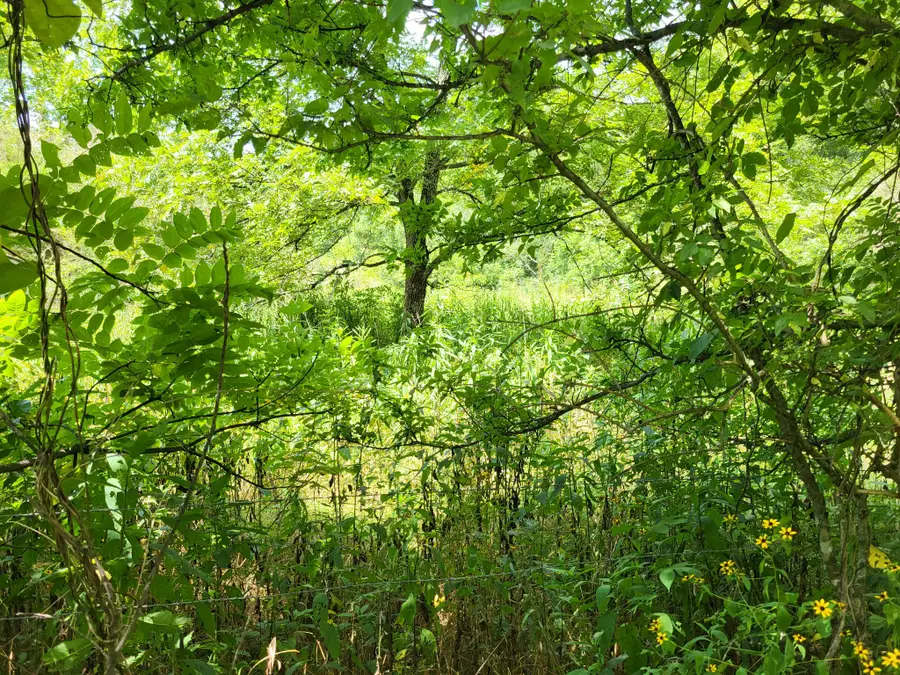 0 Felton Rd, Memphis, TN 38128 - Image #3