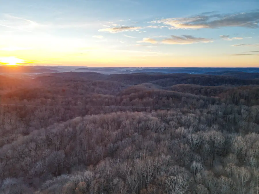 5010 Chinkapin Ln, Franklin, TN 37064 - Image #3