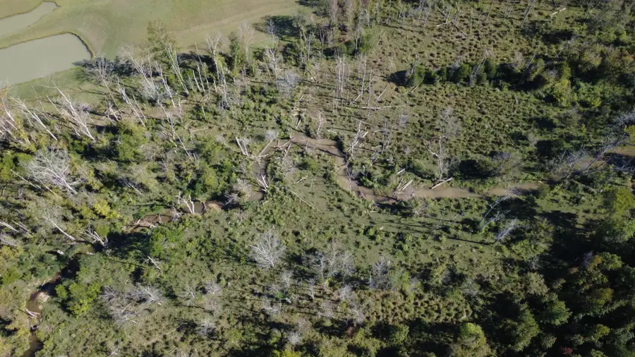 0 No Pone Valley Road, Georgetown, TN 37336 - Image #3