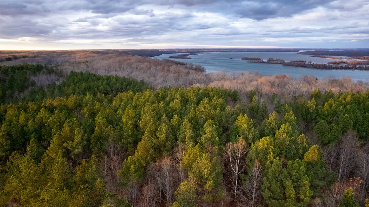 0 Birdsong Rd, Holladay, TN 38341 - Image #1