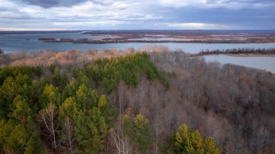 0 Birdsong Rd, Holladay, TN 38341 - Image #2