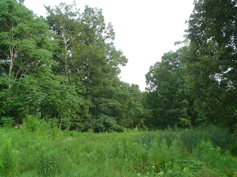 1733 Wixtown Rd Nw, Westmoreland, TN 37186 - Image #2