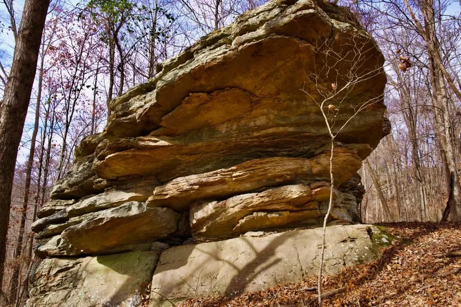 323A White Oak Flatt Rd, Sparta, TN 38583 - Image #3