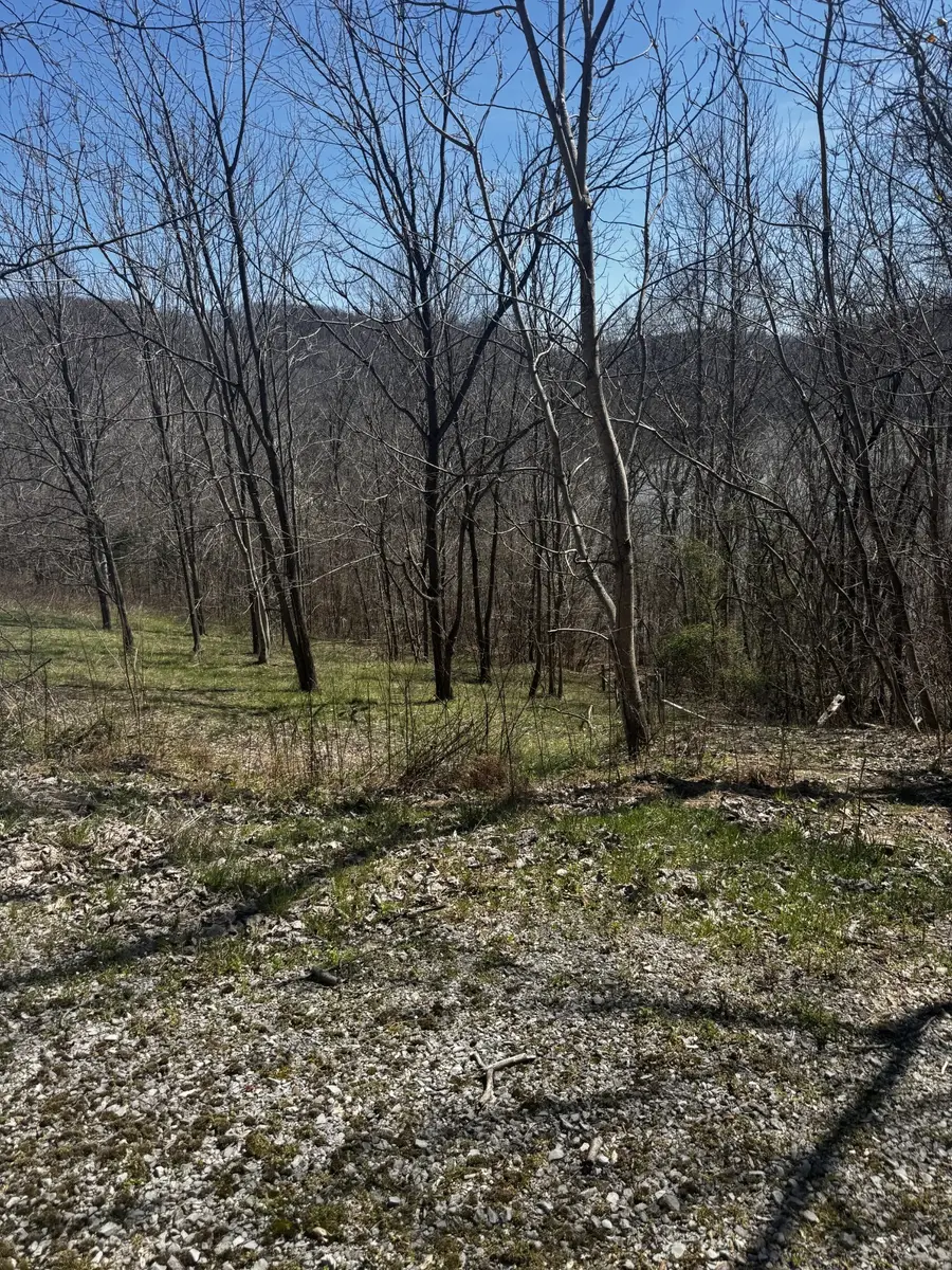 0 Dakota Ln, Smithville, TN 37166 - Image #2
