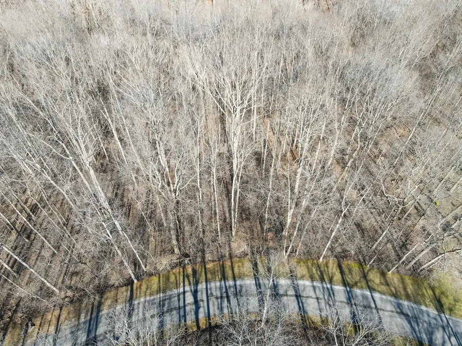 1008 Larkwood Rd, Kingston Springs, TN 37082 - Image #3