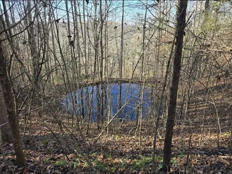 0 Maberry Ln, Cookeville, TN 38501 - Image #3