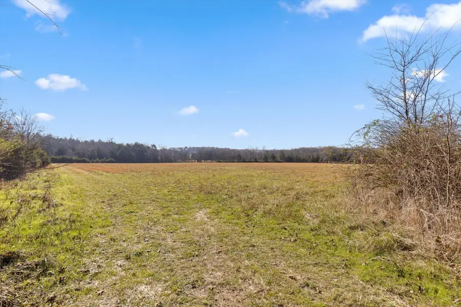 0 Brock Road, Chickamauga, GA 30707 - Image #3