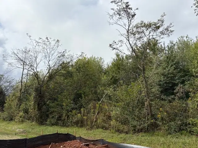 420 Cloudland Drive, Portland, TN 37148 - #2