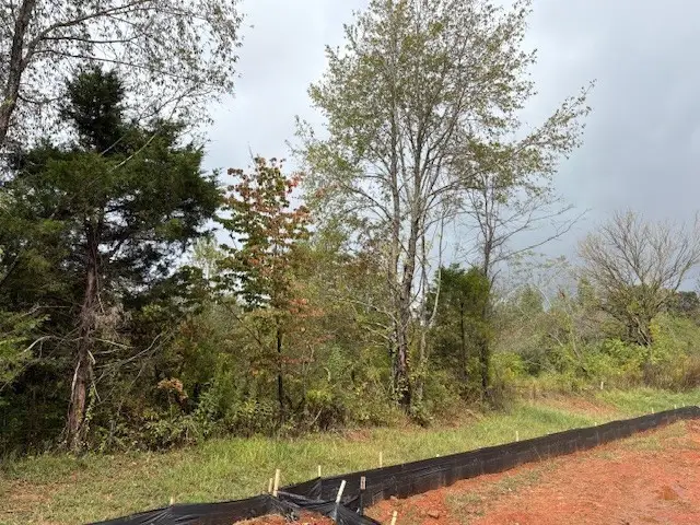 420 Cloudland Drive, Portland, TN 37148 - #3