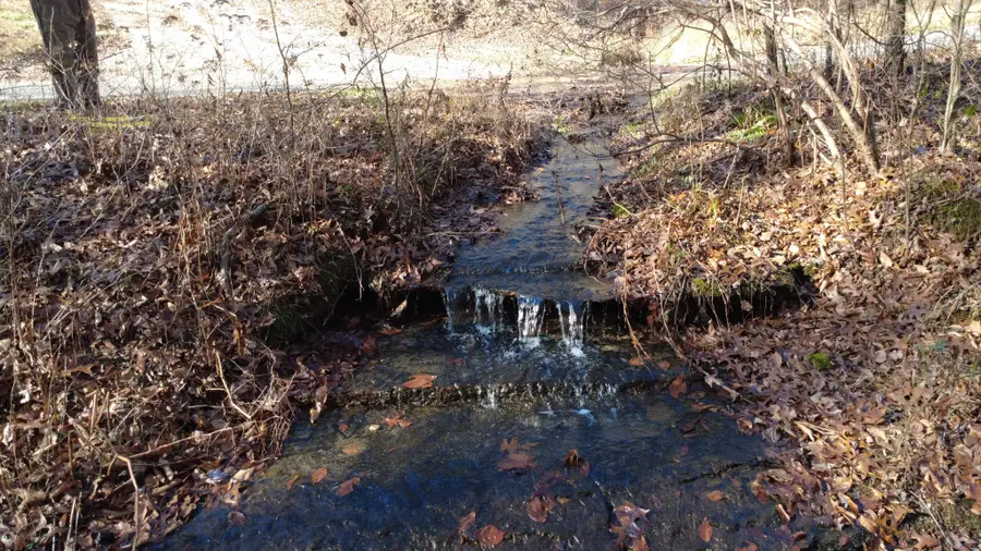 314 Burns Hollow Rd, Waynesboro, TN 38485 - Image #2