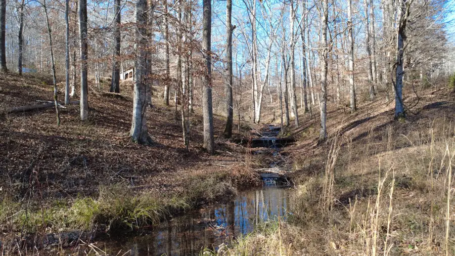 314 Burns Hollow Rd, Waynesboro, TN 38485 - Image #3