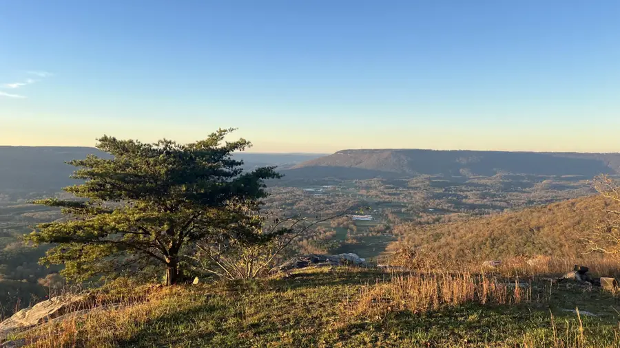 0 Tatum Gulf Road, Menlo, GA 30731 - Image #3