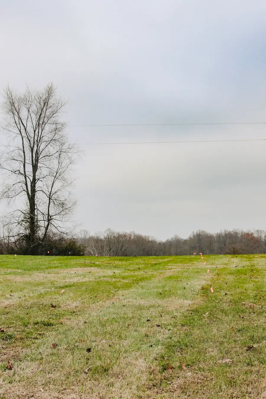 2579 New Hall Rd, Greenbrier, TN 37073 - Image #3