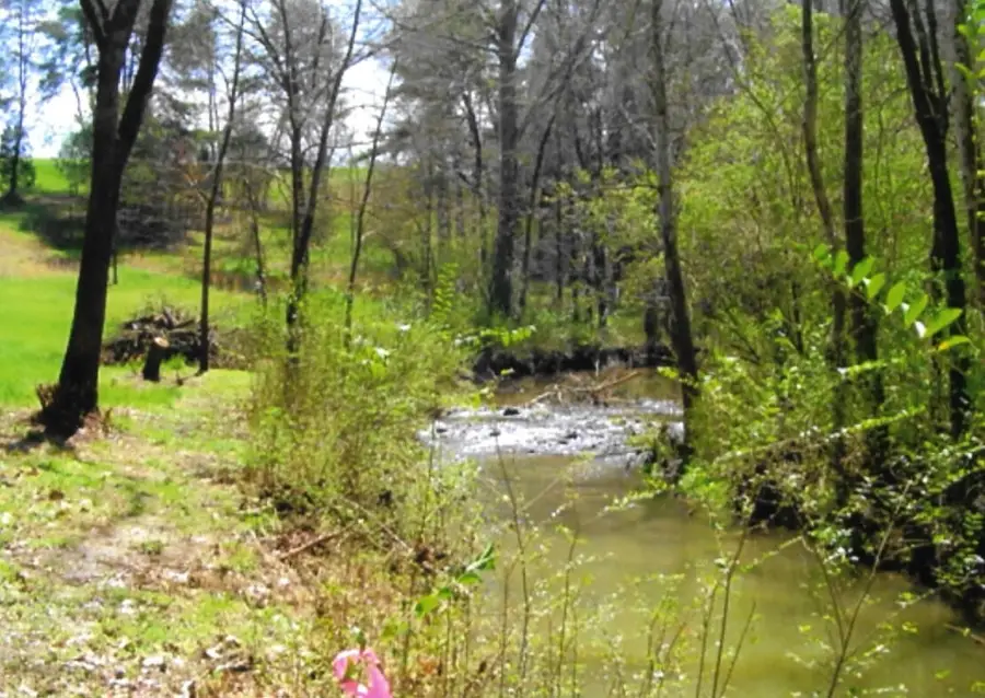 35 Watauga Lane, Birchwood, TN 37308 - Image #2