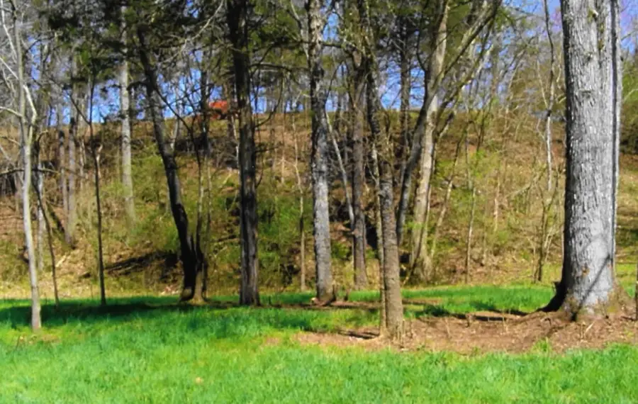 35 Watauga Lane, Birchwood, TN 37308 - Image #3