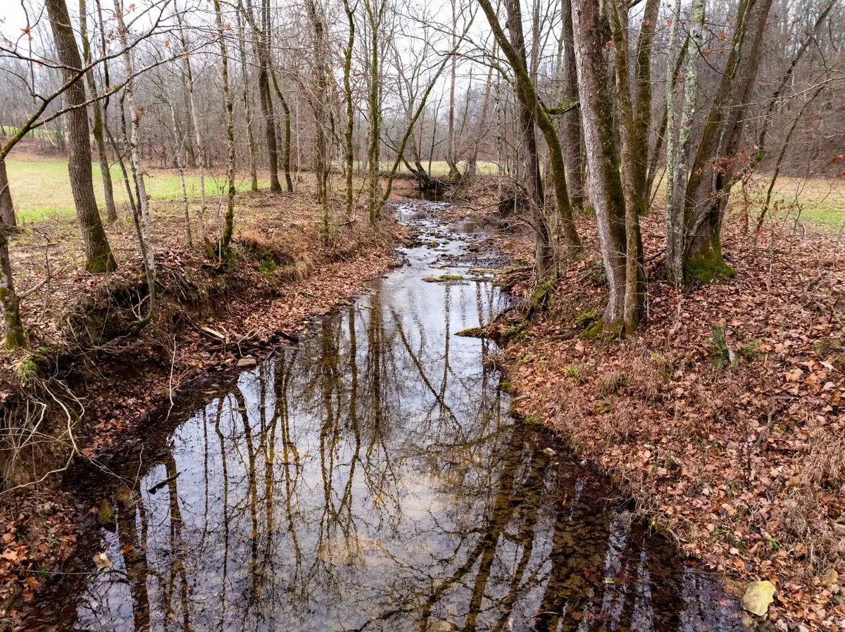 0 Shelter Branch Road, Cumberland Furnace, TN 37051 - Image #1