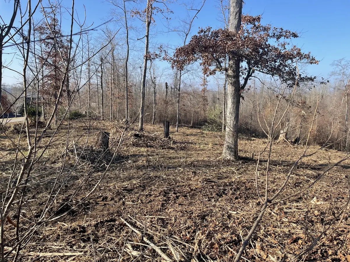 0 Driftwood Dr, Lobelville, TN 37097 - Image #1