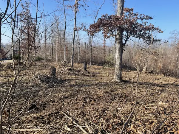 0 Driftwood Dr, Lobelville, TN 37097