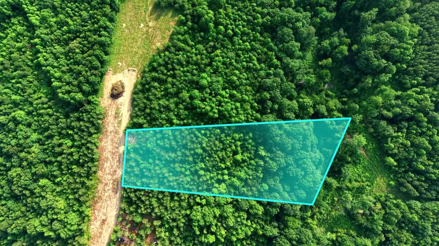 0 Cox Hollow, Dover, TN 37058 - Image #2