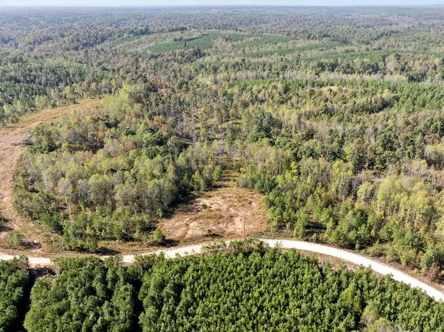 0 Cox Hollow, Dover, TN 37058 - Image #3