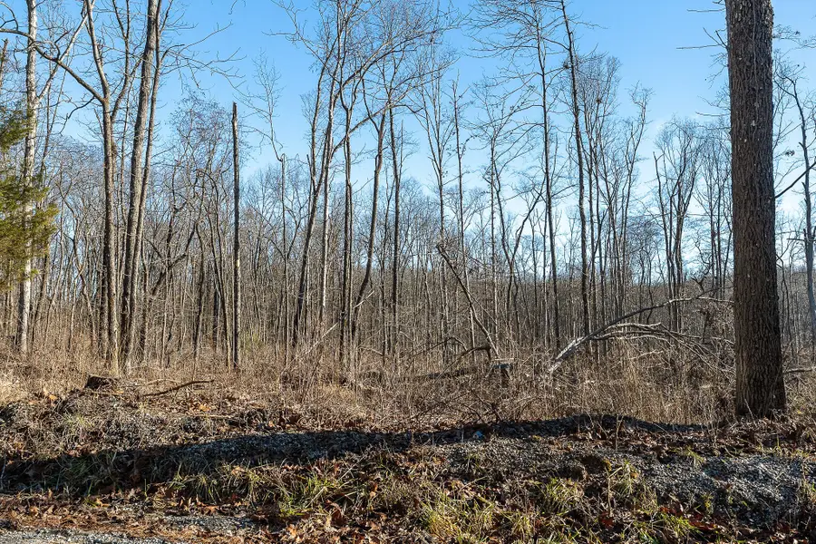 0 Valley View Dr, Altamont, TN 37301 - Image #3