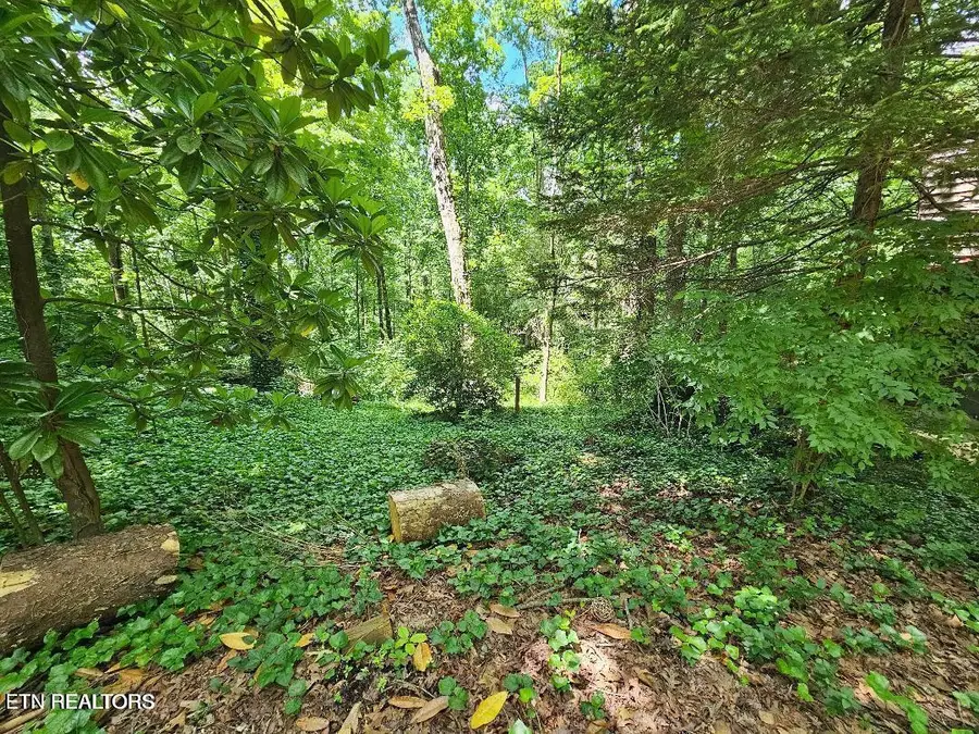 8031 Shady Lane, Powell, TN 37849 - Image #3