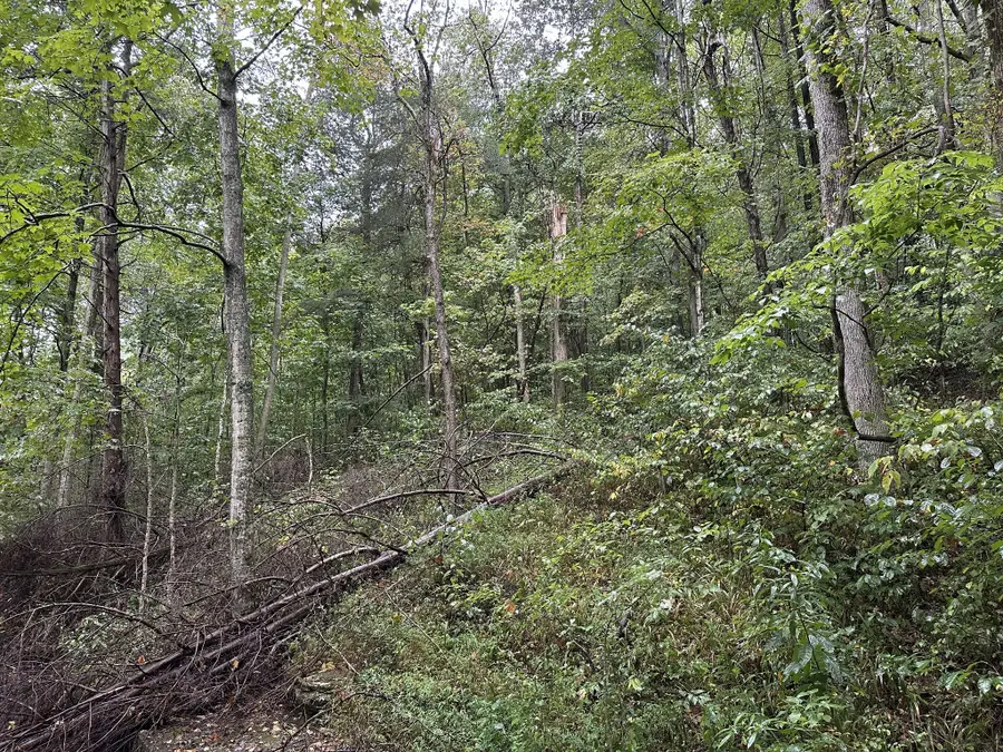 453 Gravely Hill Road, Bethpage, TN 37022 - Image #3