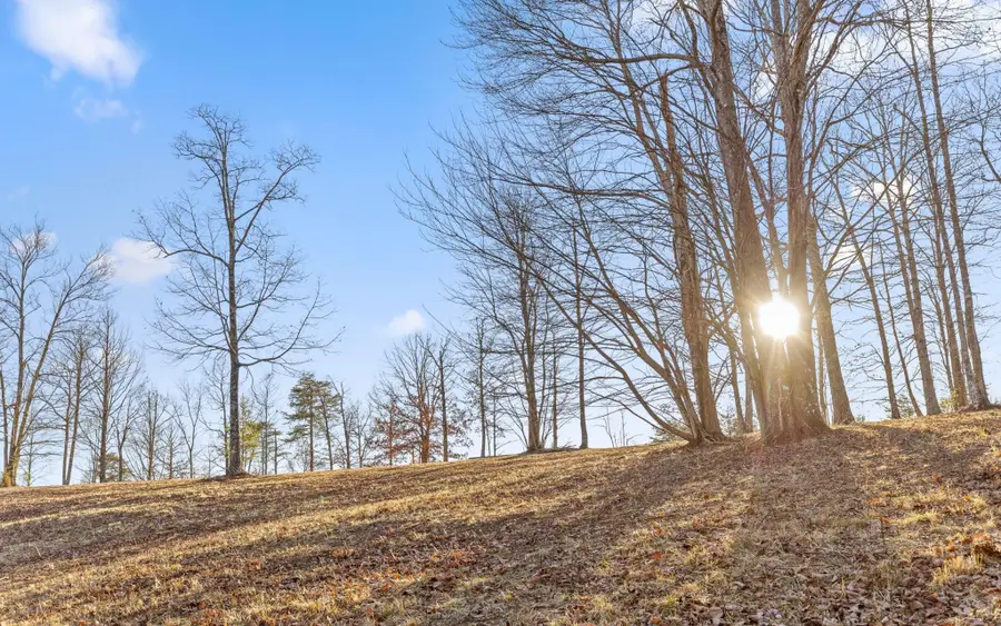 1 Lake George Drive, Dunlap, TN 37327 - Image #2