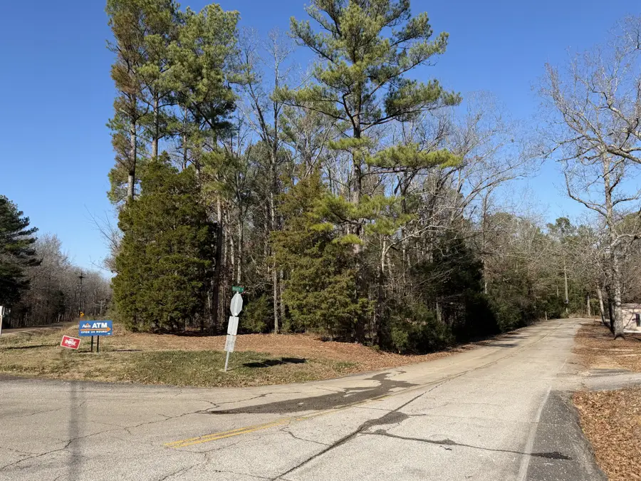 0 Birdsong Rd, Camden, TN 38320 - Image #3