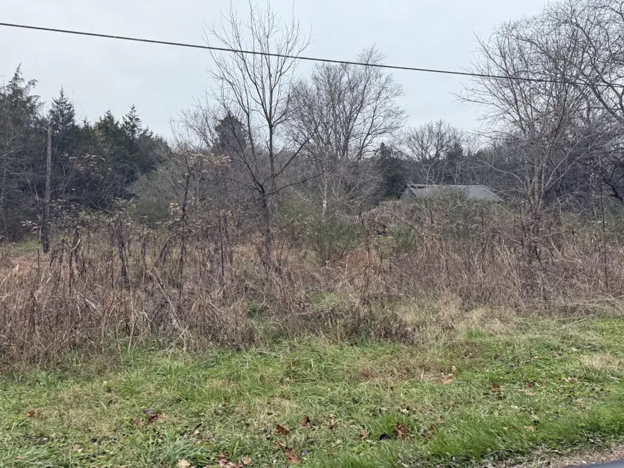 0 Lewis Rd, Santa Fe, TN 38482 - Image #2
