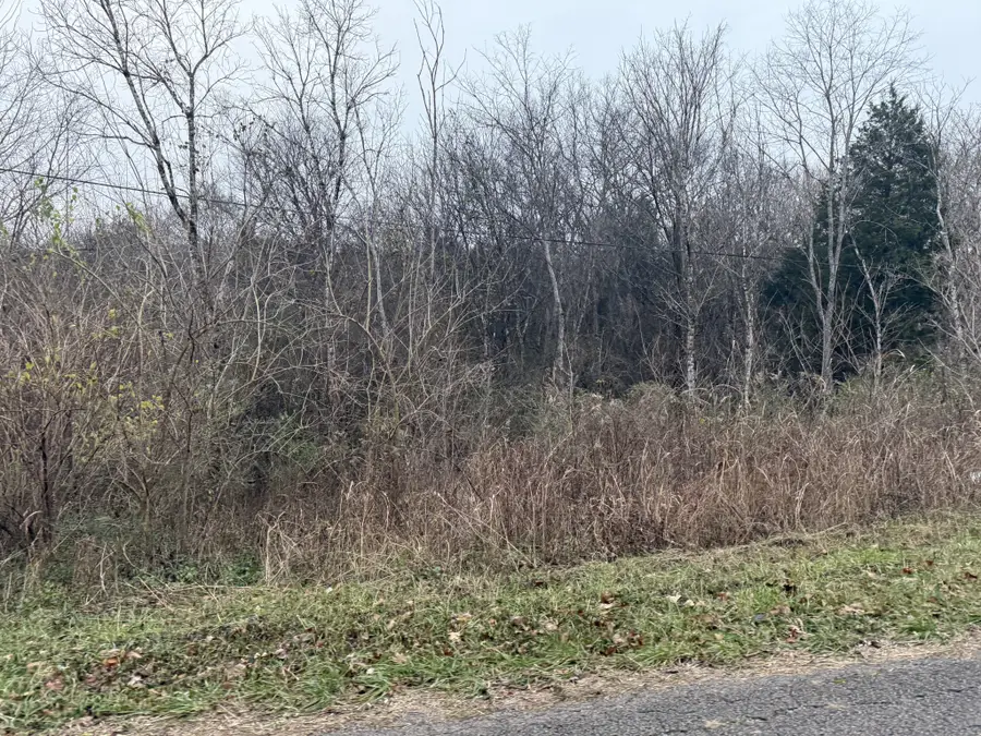 0 Lewis Rd, Santa Fe, TN 38482 - Image #3