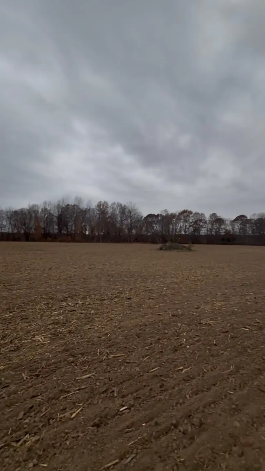 0 Lights Chapel Rd, Greenbrier, TN 37073 - Image #3