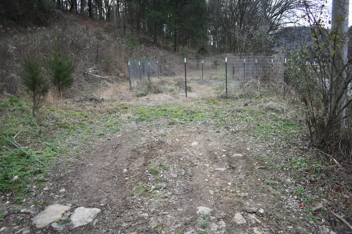 256 Maggart Rd, Elmwood, TN 38560 - Image #1