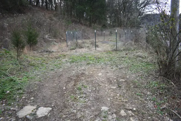 256 Maggart Rd, Elmwood, TN 38560