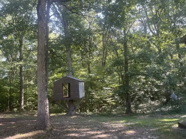 9320 Highway 69a, Big Sandy, TN 38221 - Image #2