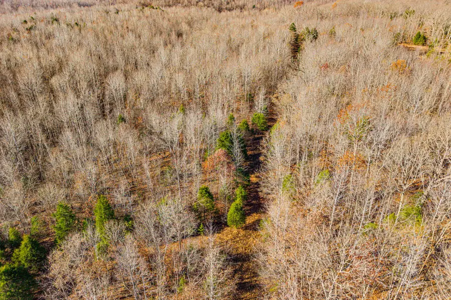 96 Ramery Rd, Cumberland City, TN 37050 - Image #2