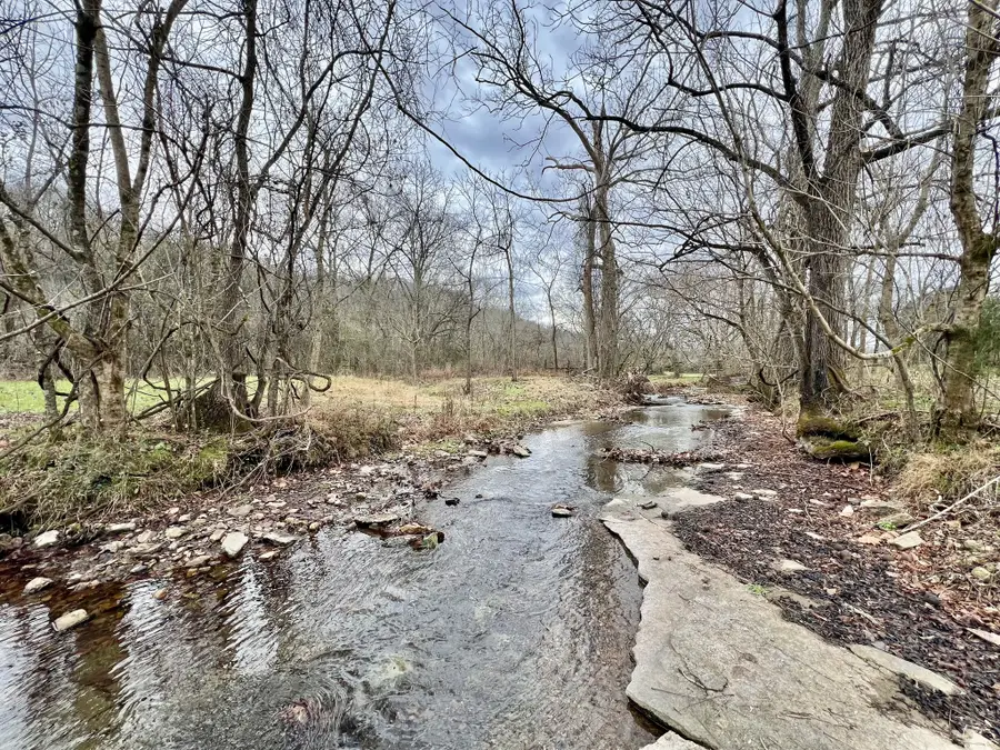 1595 Hurricane Creek Rd, Lawrenceburg, TN 38464 - Image #2