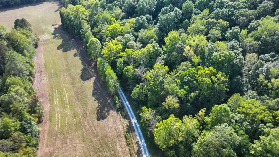 9 John Ross Hollow, Erin, TN 37061 - Image #2