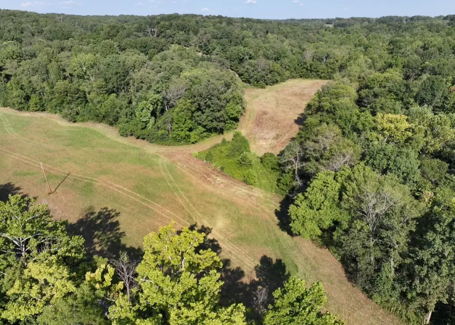 9 John Ross Hollow, Erin, TN 37061 - Image #3