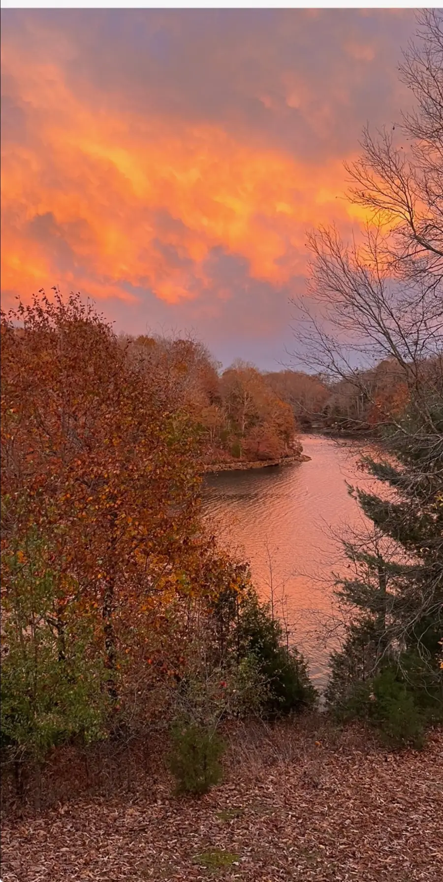 365 Coopers Cv, Lynchburg, TN 37352 - Image #2