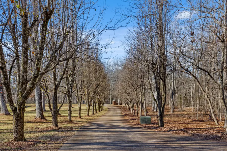 8515 Highway 157, Rising Fawn, GA 30738 - Image #3