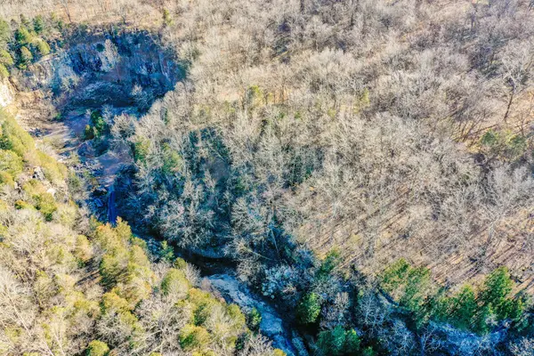 0 Red Tuttle Road, Bethpage, TN 37022