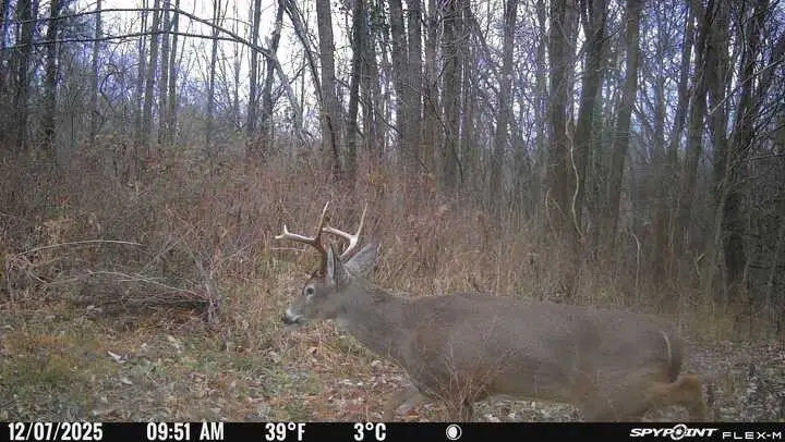 0 Red Tuttle Road, Bethpage, TN 37022 - Image #3