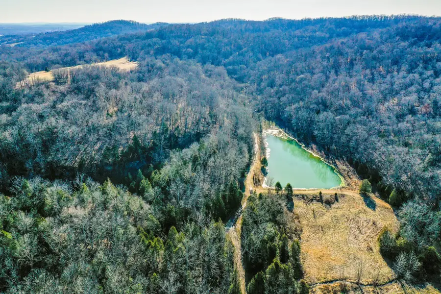 0 Red Tuttle Road, Bethpage, TN 37022 - Image #2